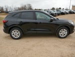 2026 Ford Escape Active FWD