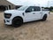 2026 Ford F-150 STX 4WD SuperCrew 5.5' Box