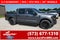 2025 Ford F-150 STX 4WD SuperCrew 5.5' Box
