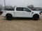 2025 Ford F-150 XLT 4WD SuperCrew 5.5' Box