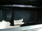 2026 Ford F-150 Tremor 4WD SuperCrew 5.5' Box